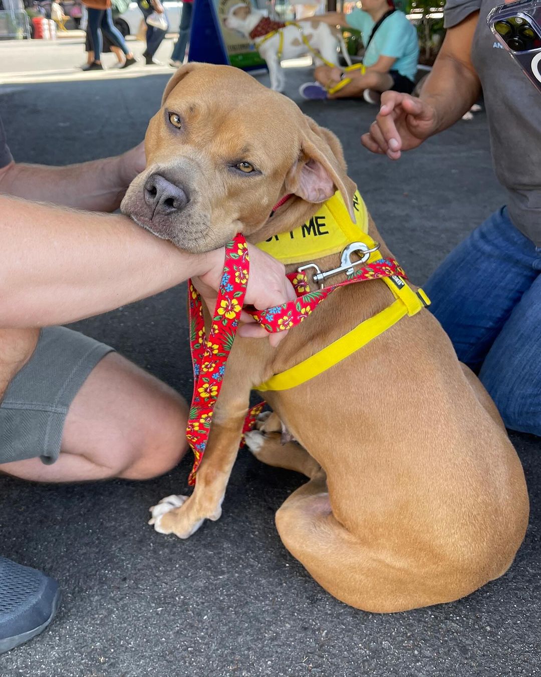 Extra image from article