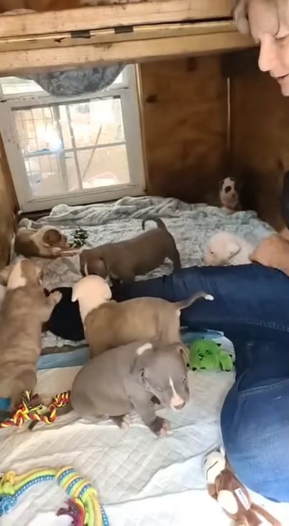 Extra image from article