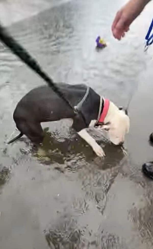 Extra image from article