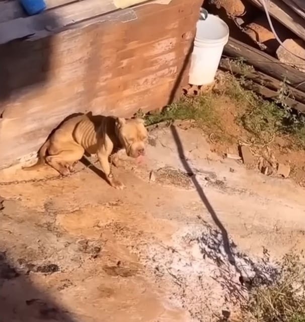 The clinic staff were moved by Buster's ...