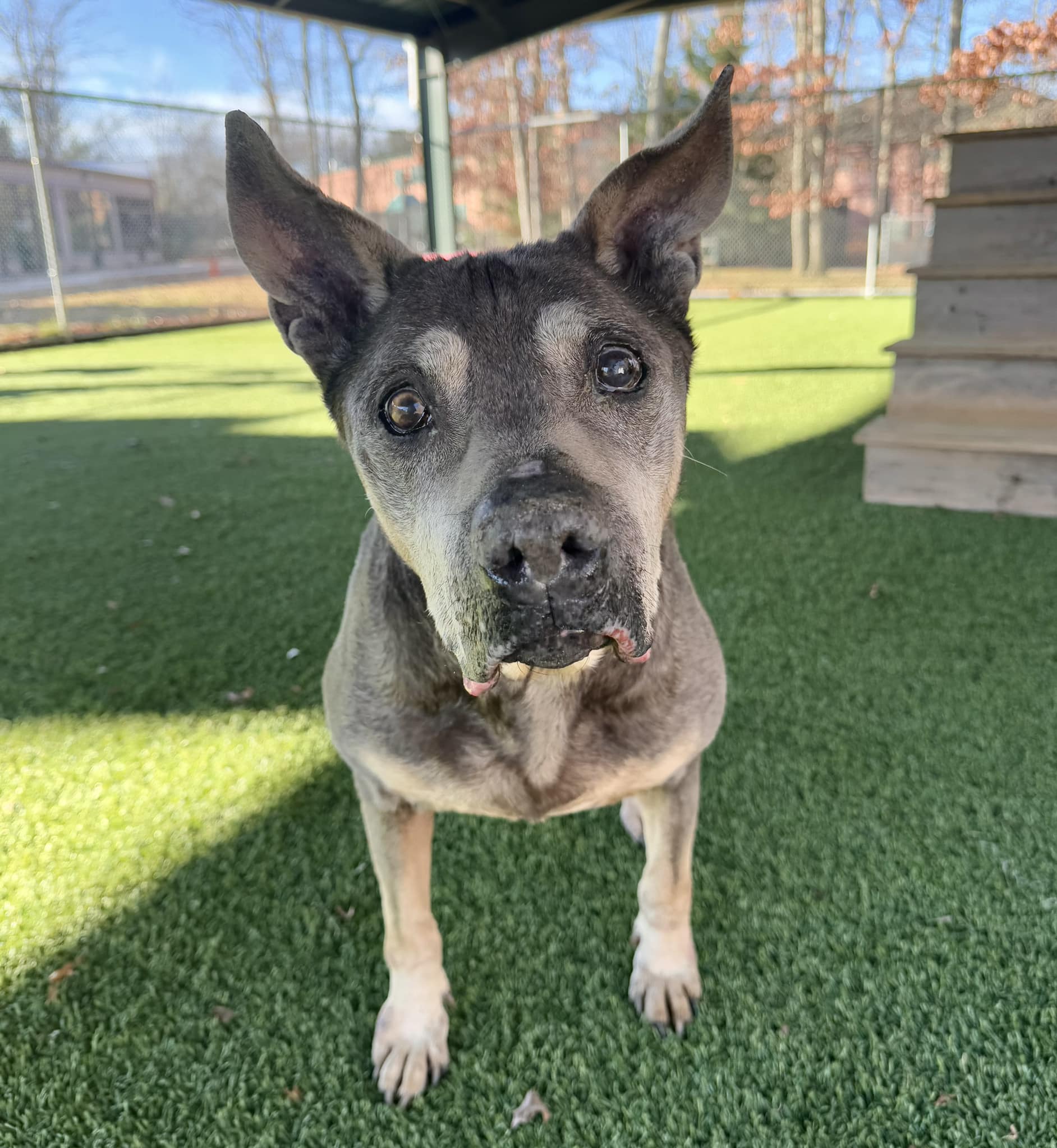 Extra image from article