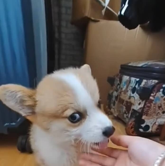 Extra image from article