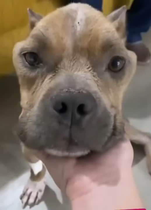 Extra image from article