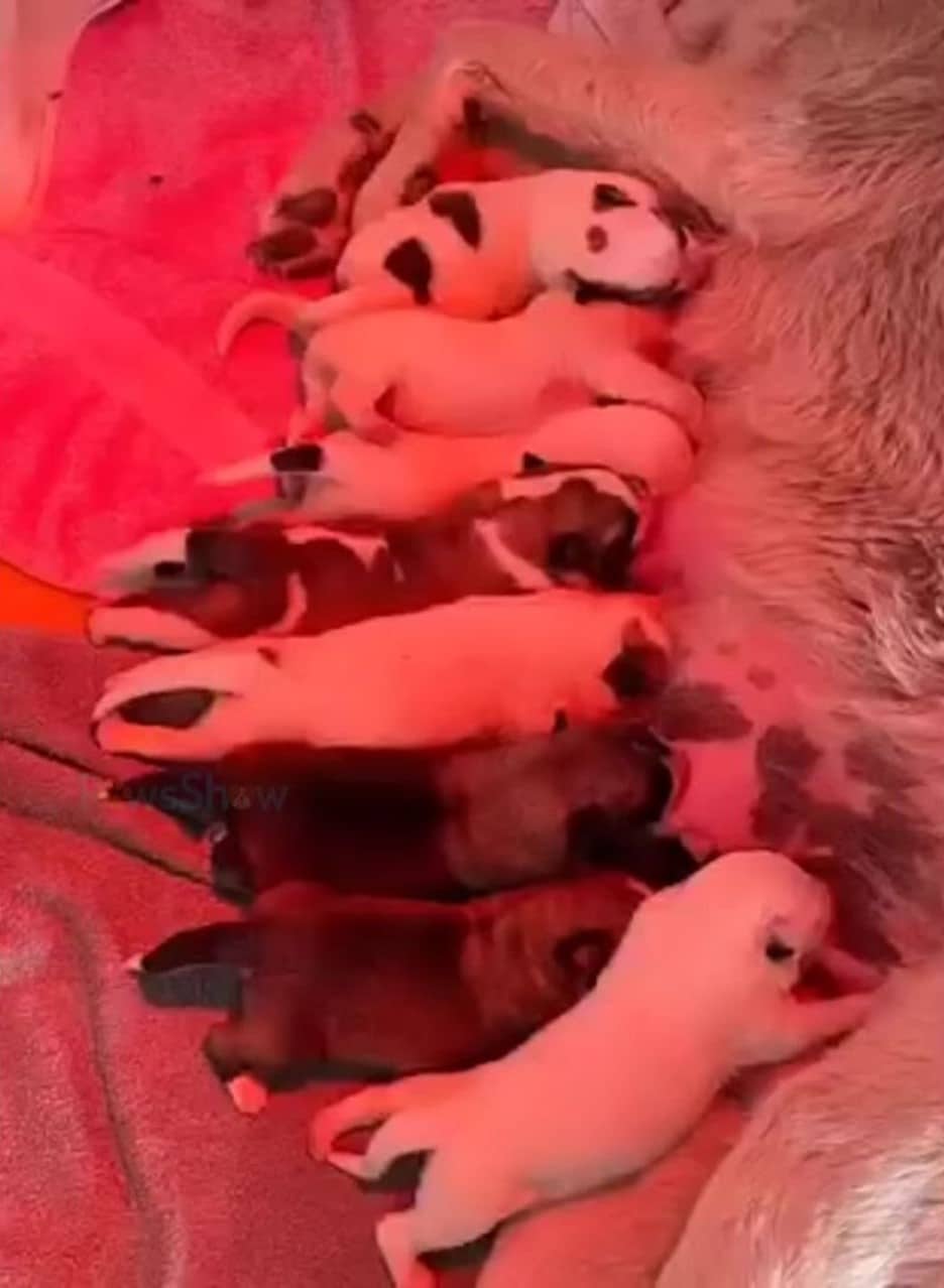 Extra image from article