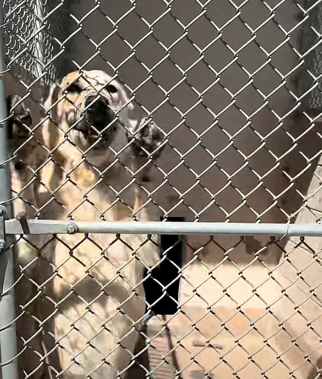 Extra image from article