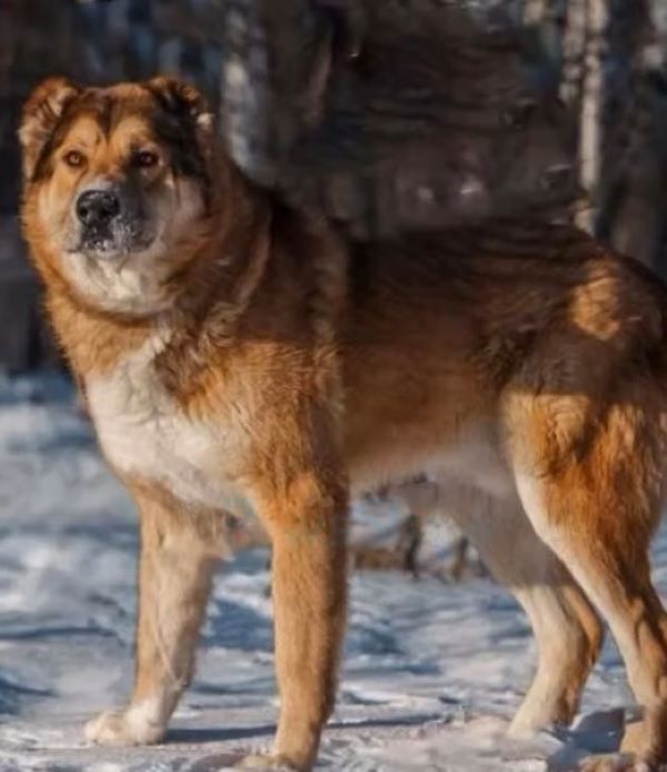 Extra image from article