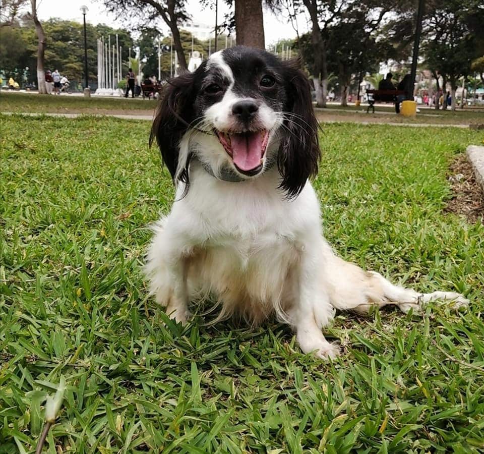 Extra image from article