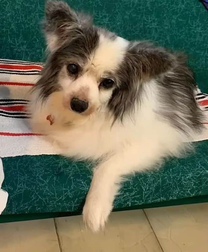 Extra image from article