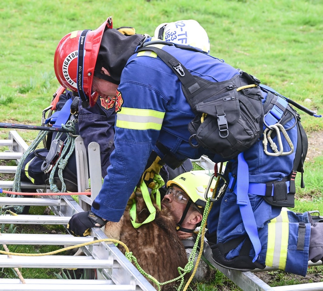 Extra image from article