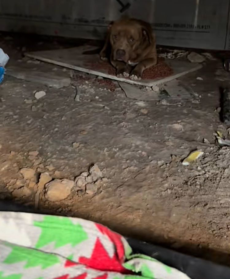 To her surprise, Stephanie later discove...