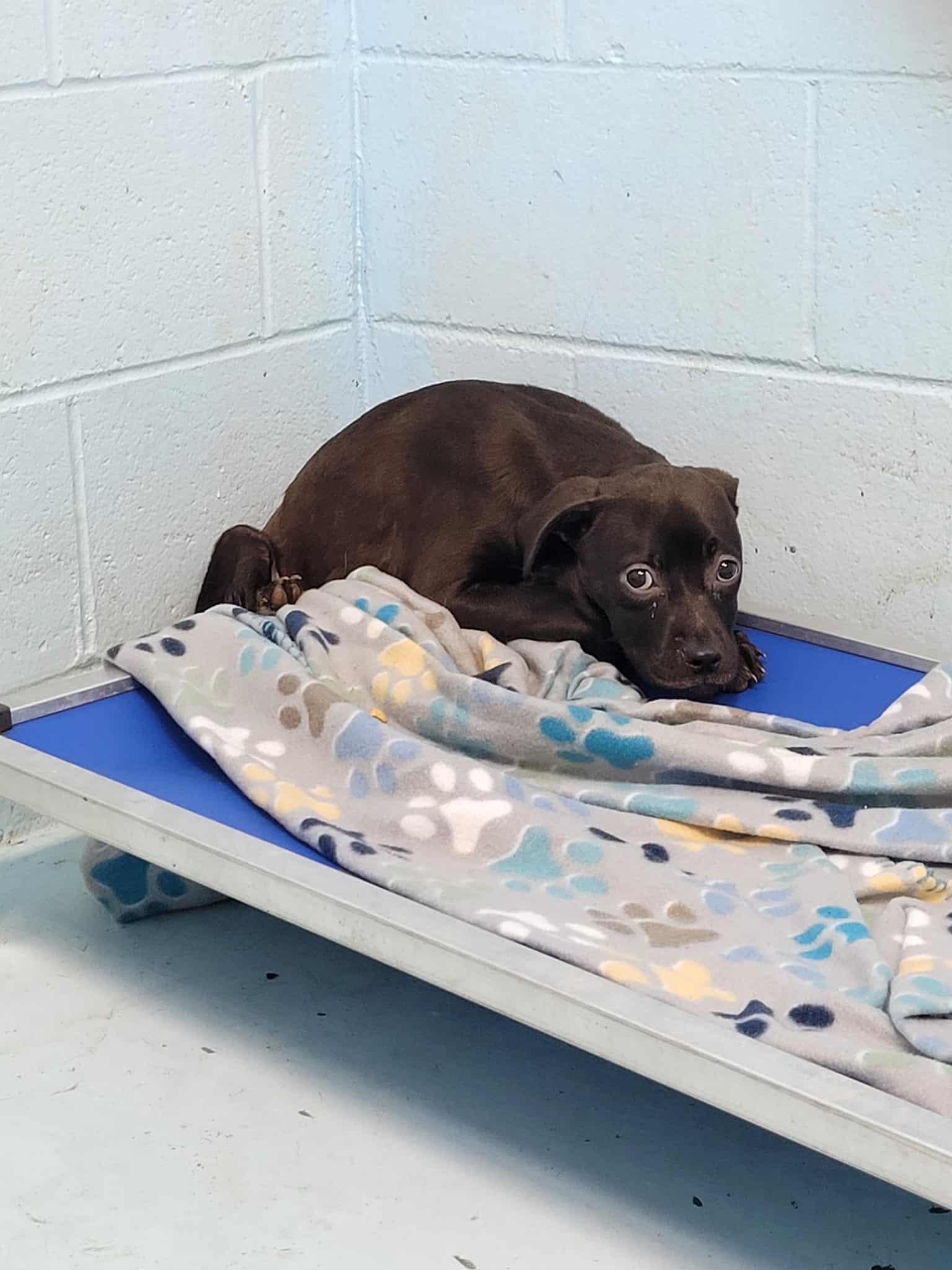 Gratitude goes out to the compassionate ...