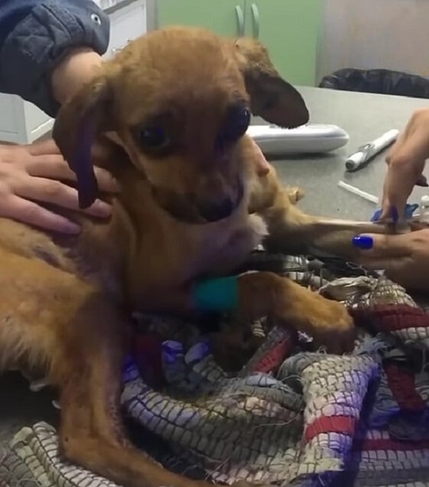 Extra image from article