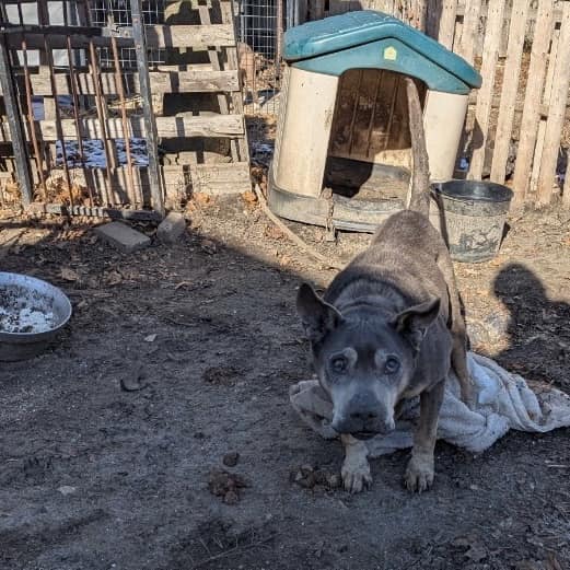 Despite some limitations in hearing and ...