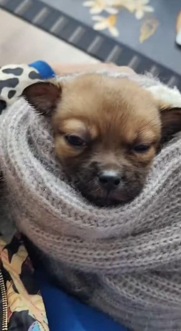 As time passed, a transformation began t...