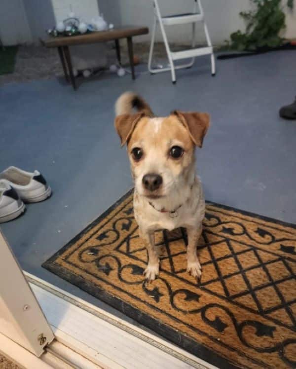 Extra image from article