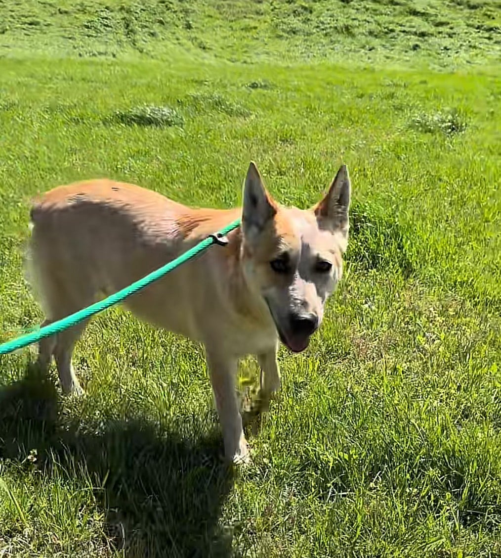 Extra image from article