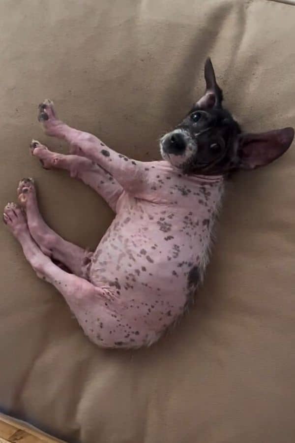 Extra image from article