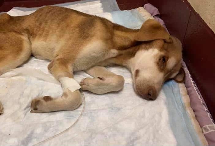 Extra image from article