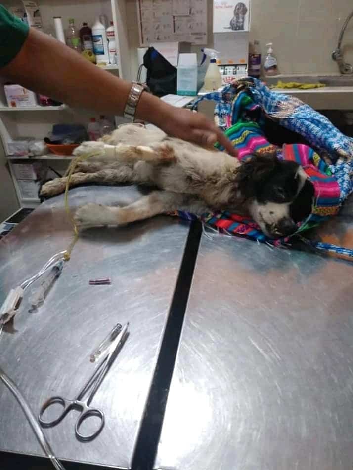 Extra image from article