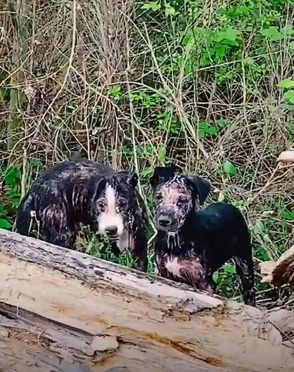 Next on the agenda was a visit to the ve...