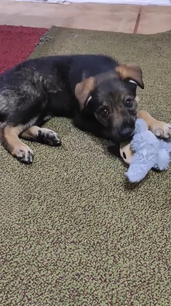 Extra image from article