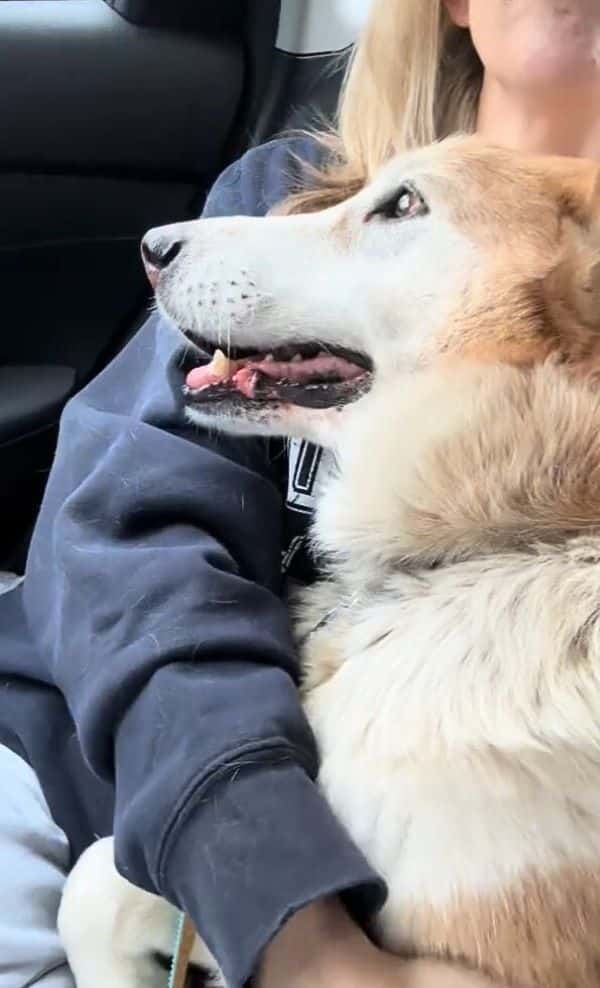 Extra image from article