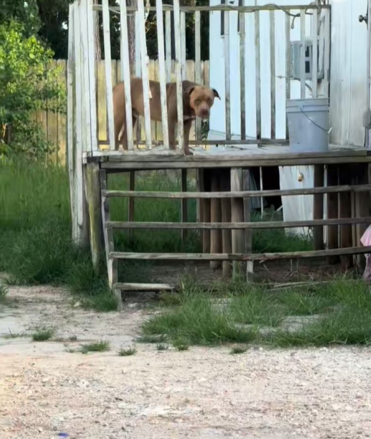 Extra image from article