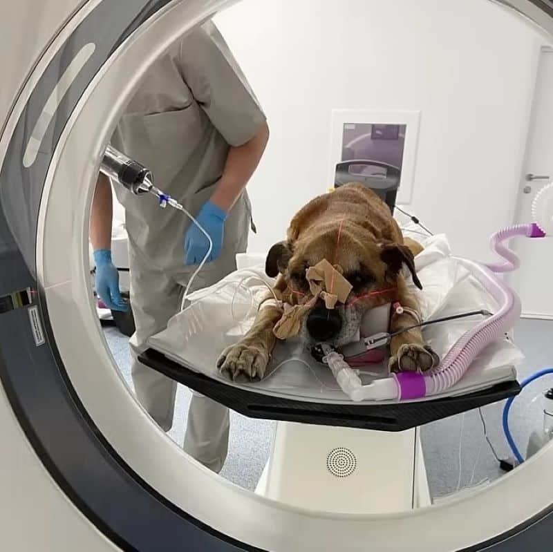 Extra image from article