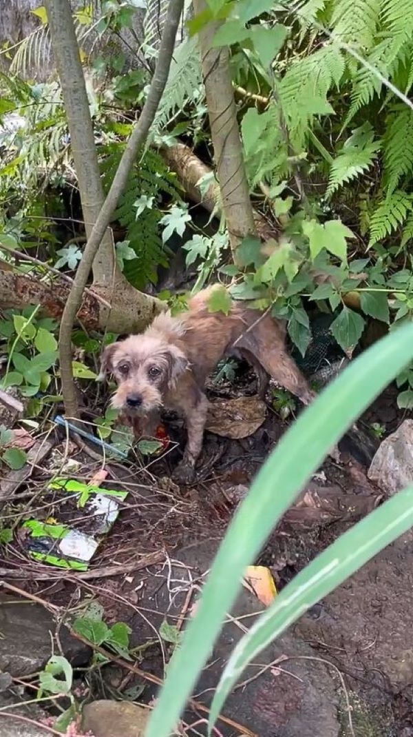 Under Jullie's nurturing care, Tina slow...