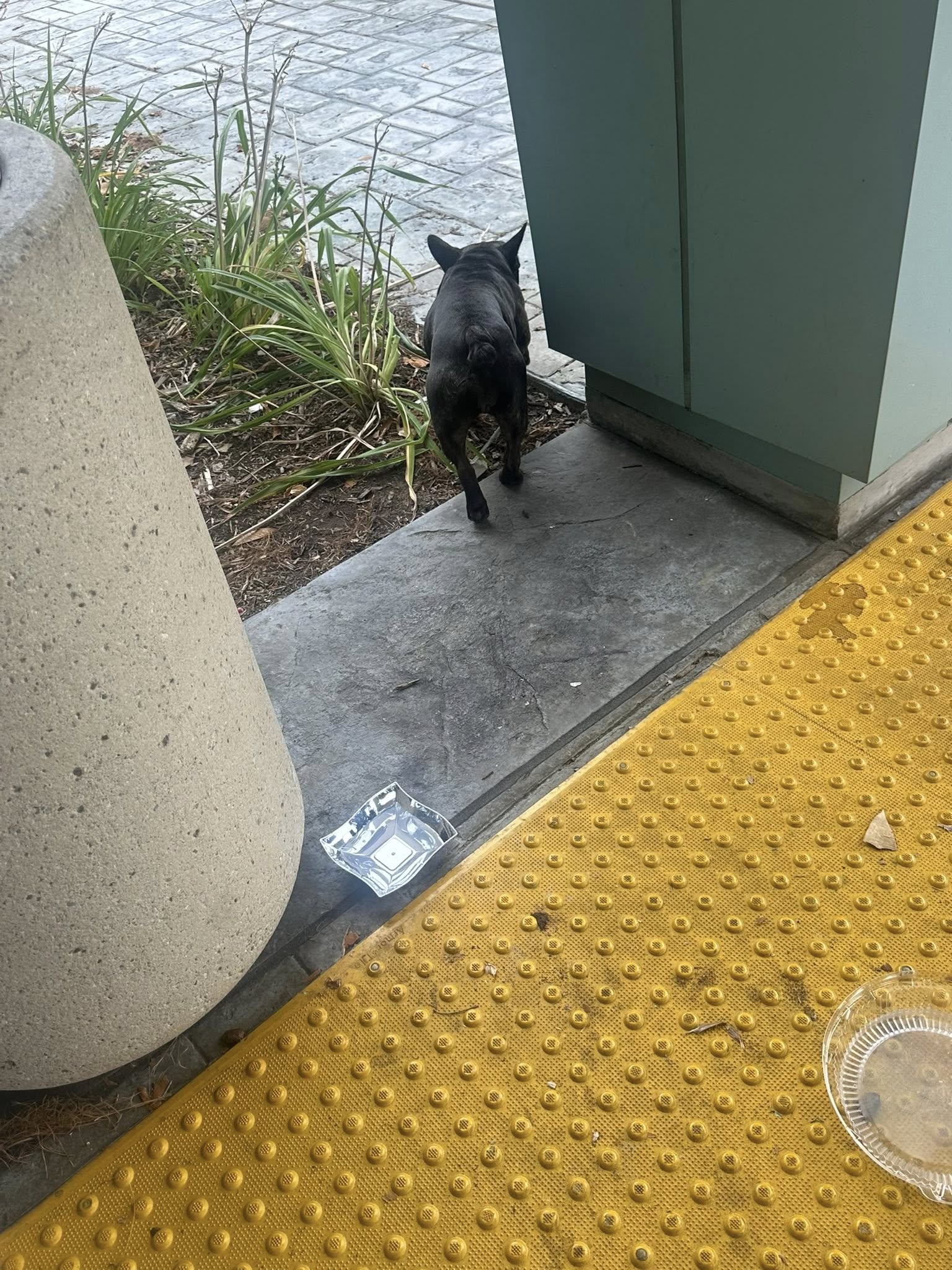 Extra image from article