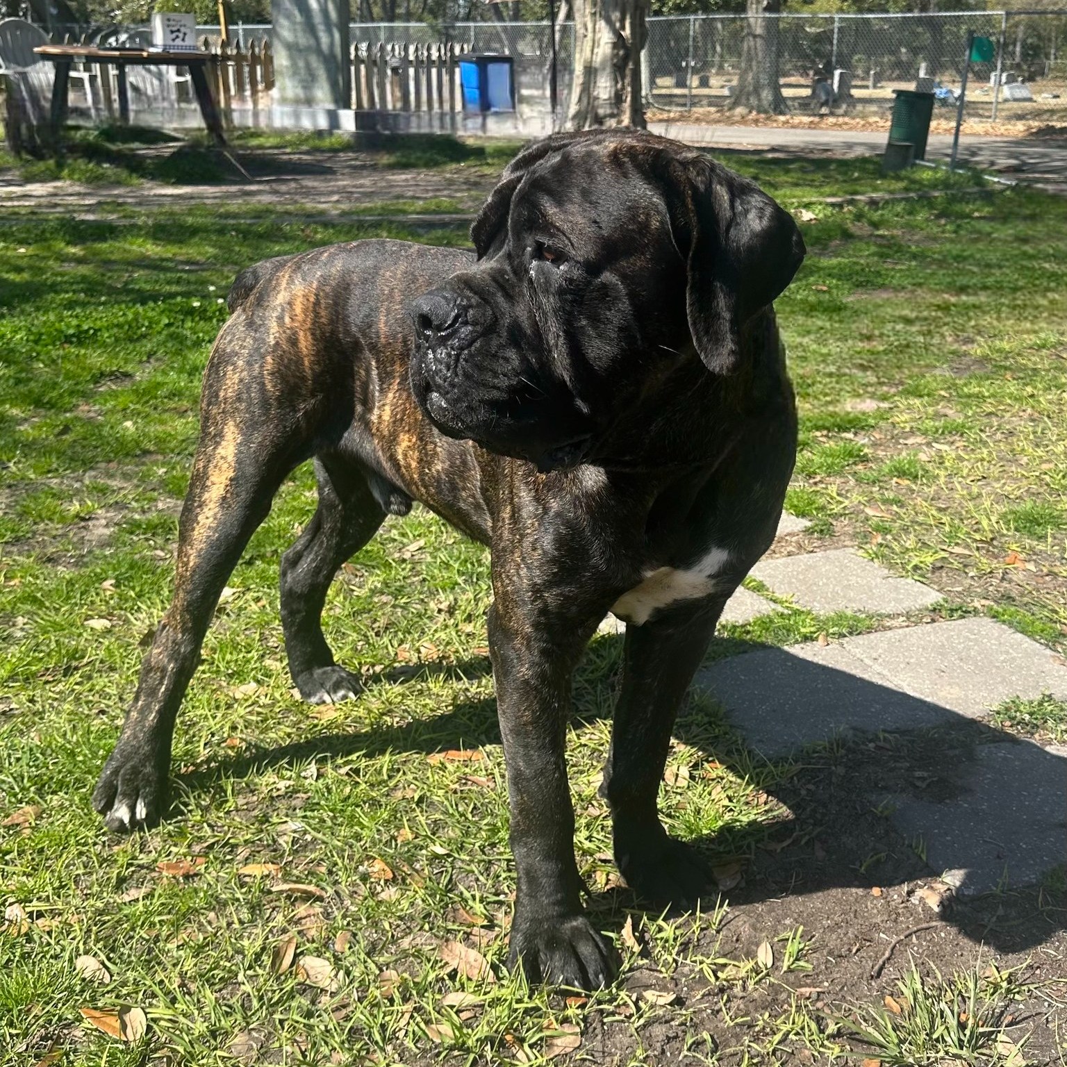 Extra image from article