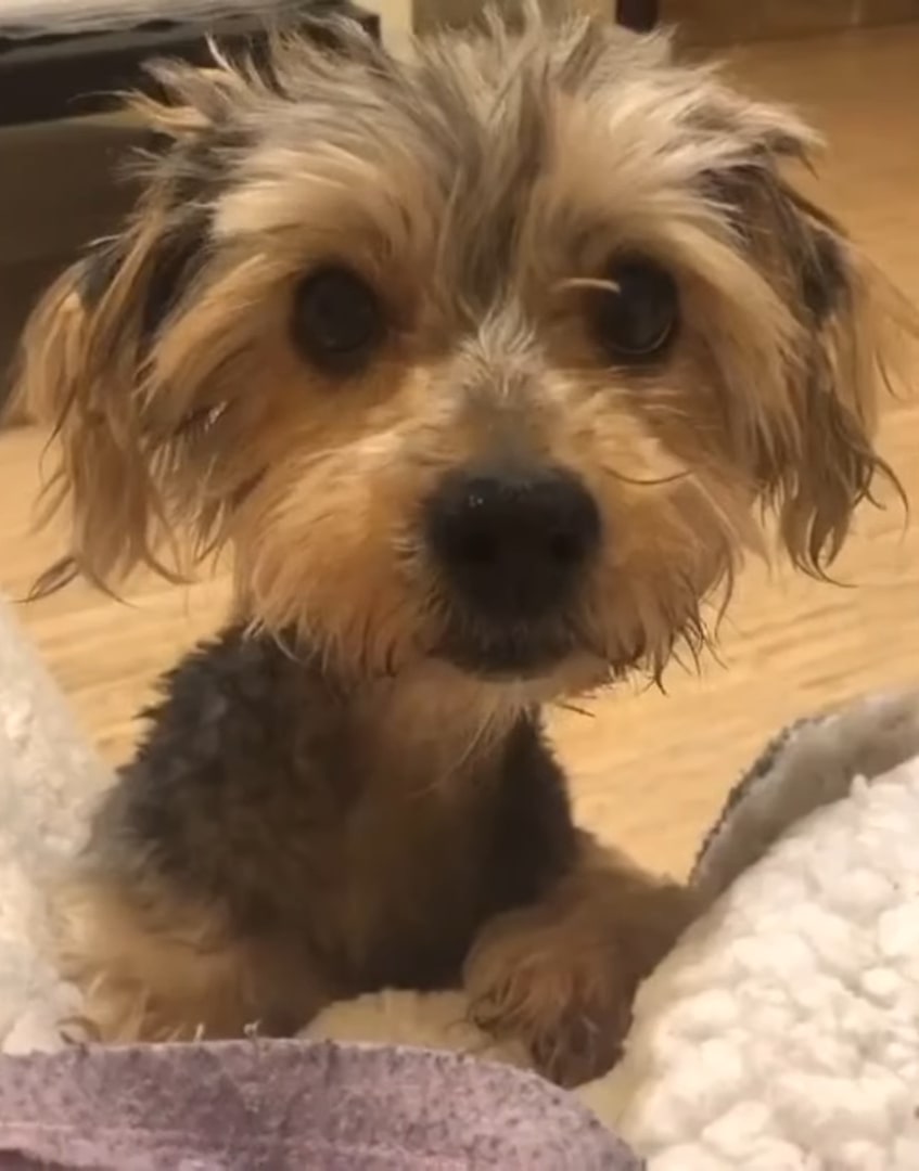 Extra image from article