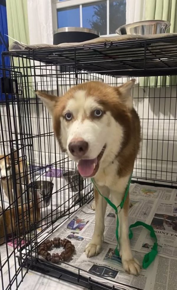 Extra image from article