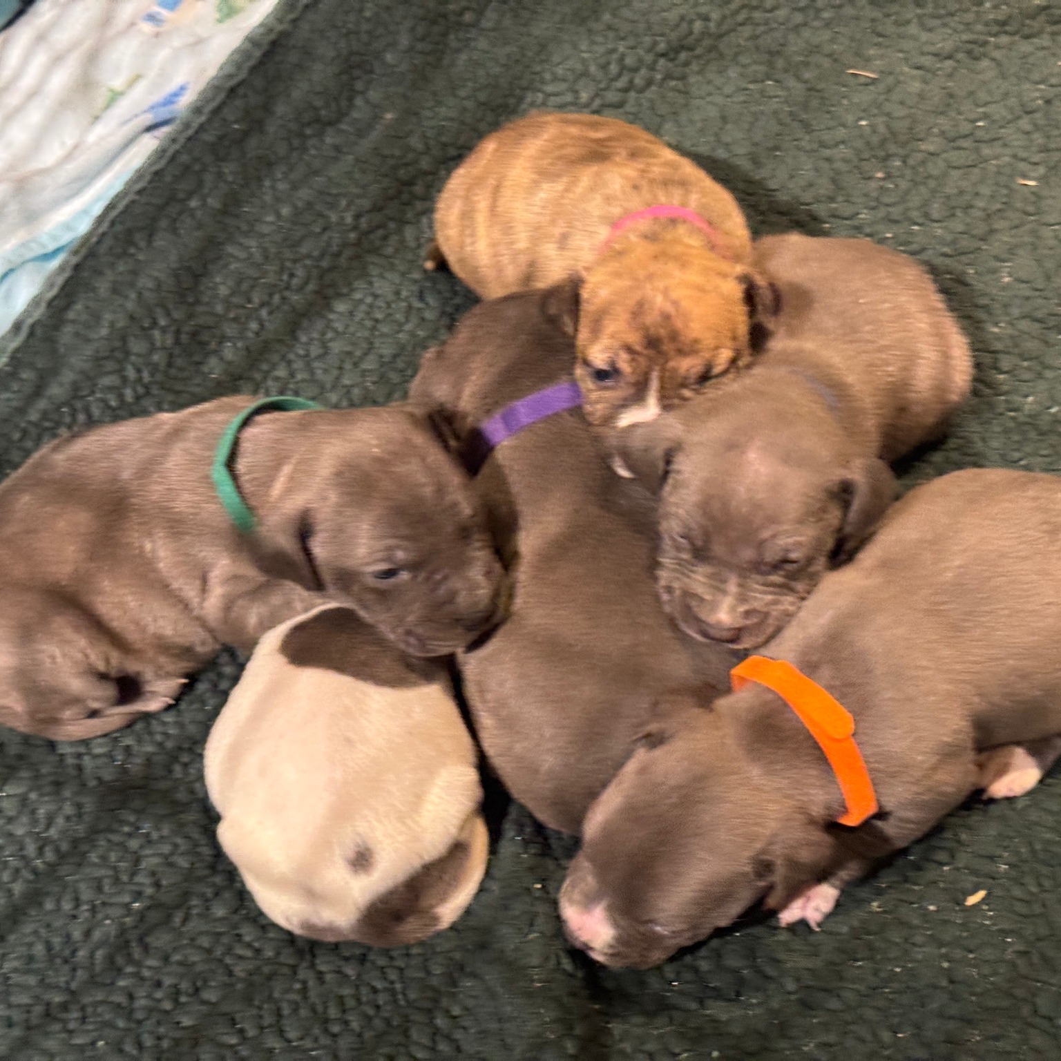 Extra image from article