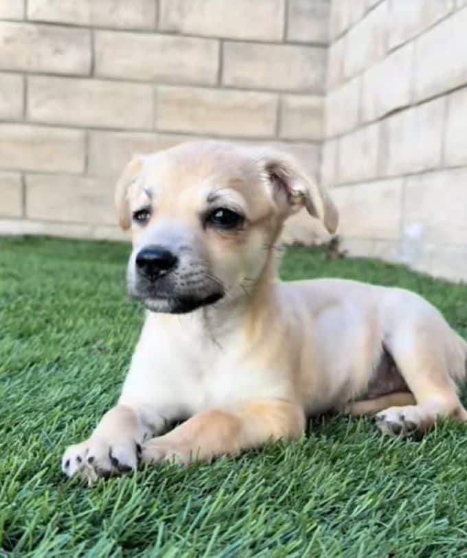 Extra image from article