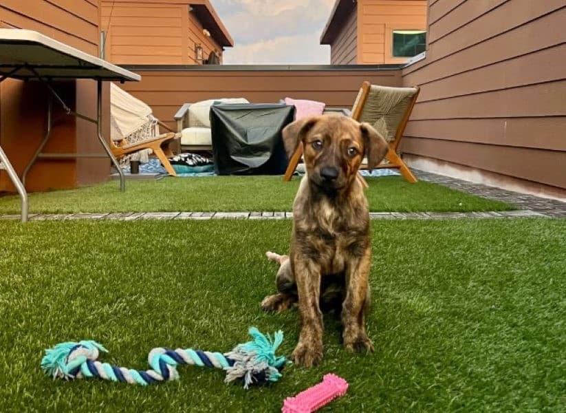 Extra image from article