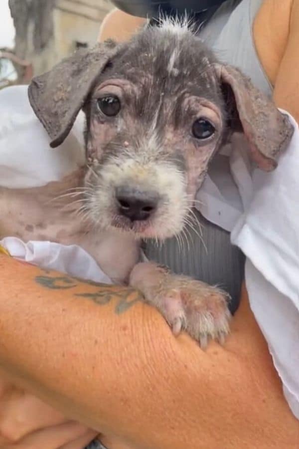 Extra image from article