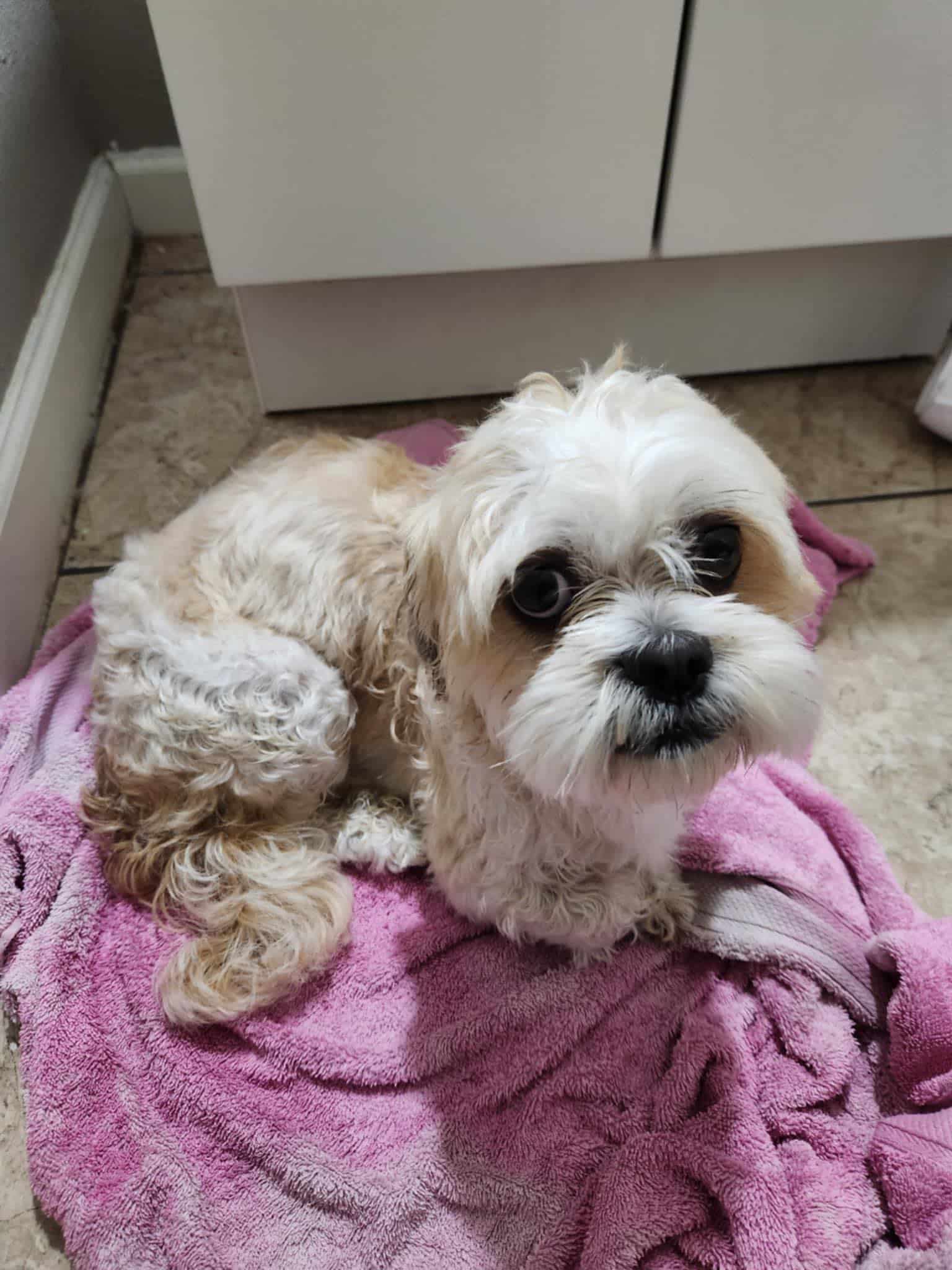 Extra image from article