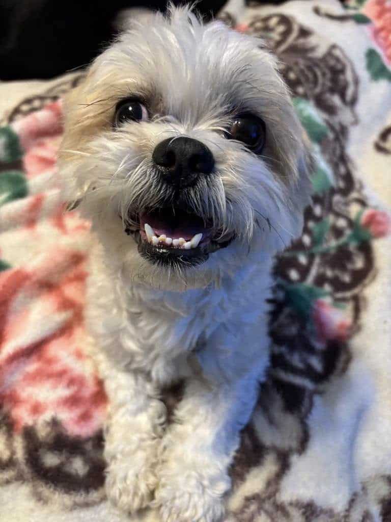 Extra image from article