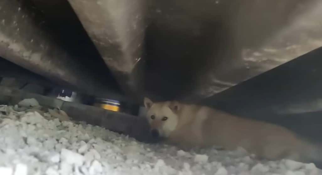 Extra image from article