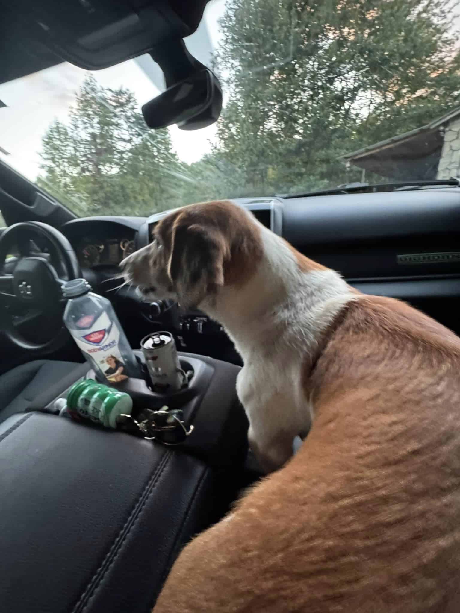 Extra image from article