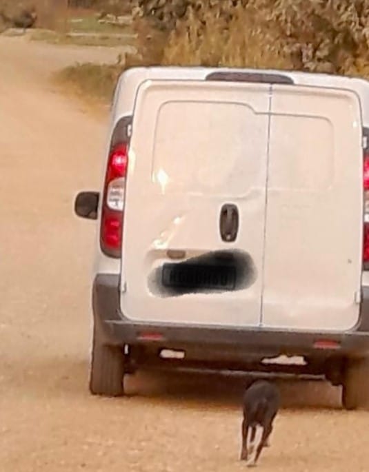 After a week at the clinic, Katie and he...