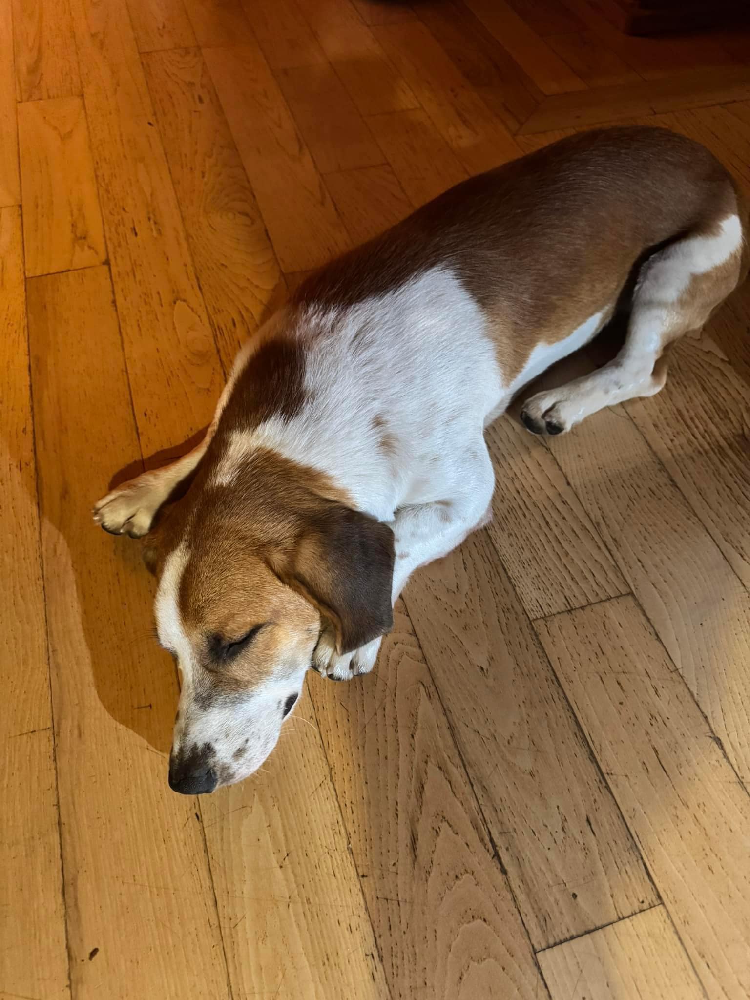 Extra image from article