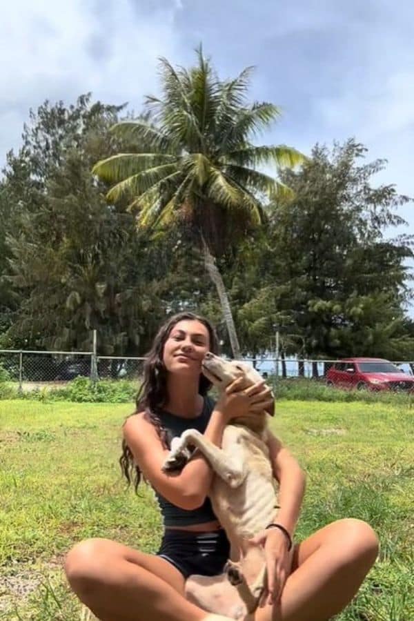 Extra image from article