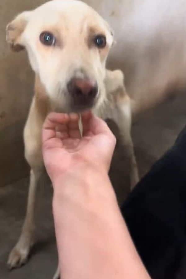 Extra image from article