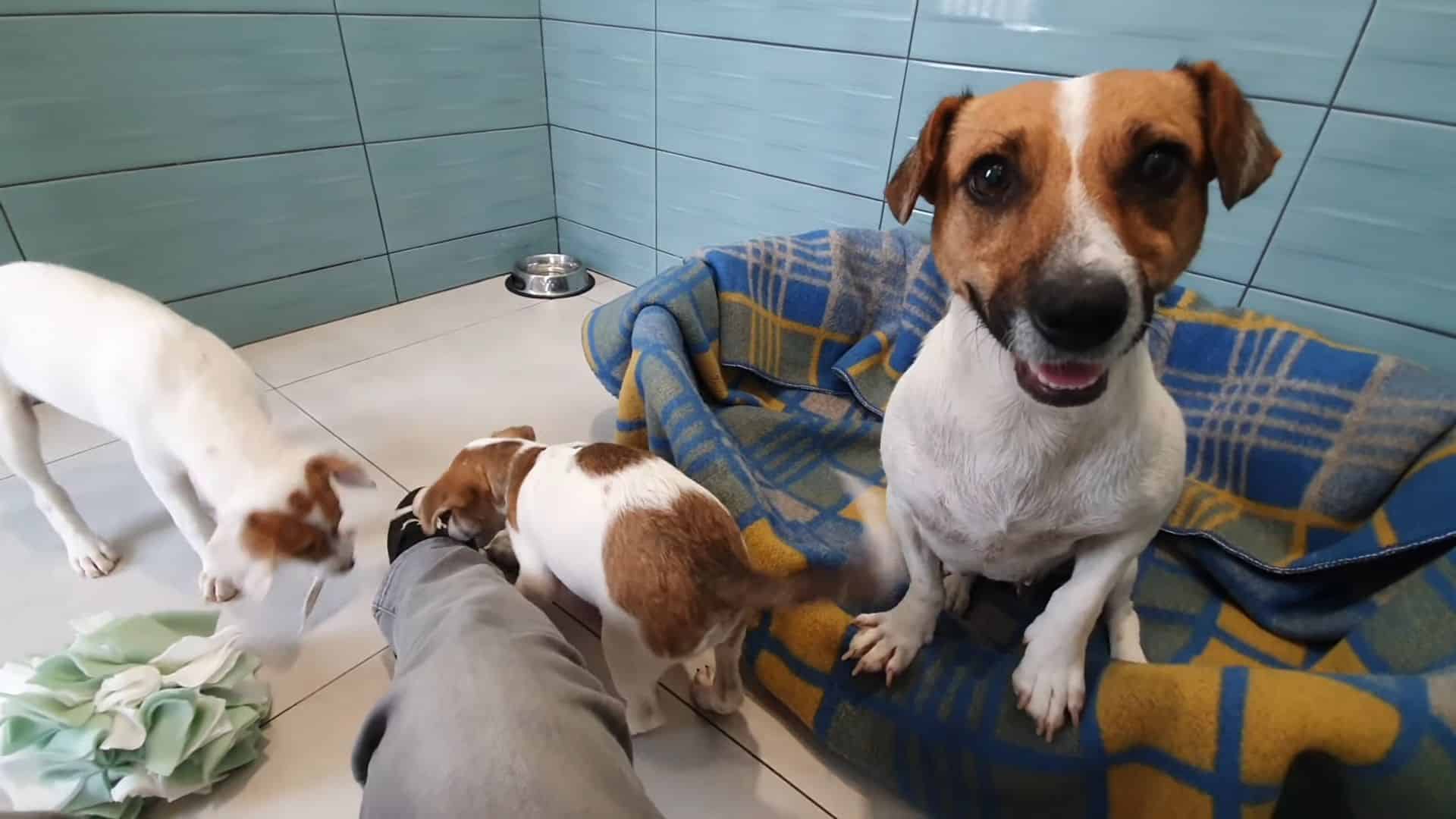 Extra image from article