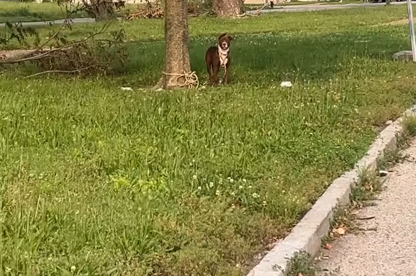 Extra image from article