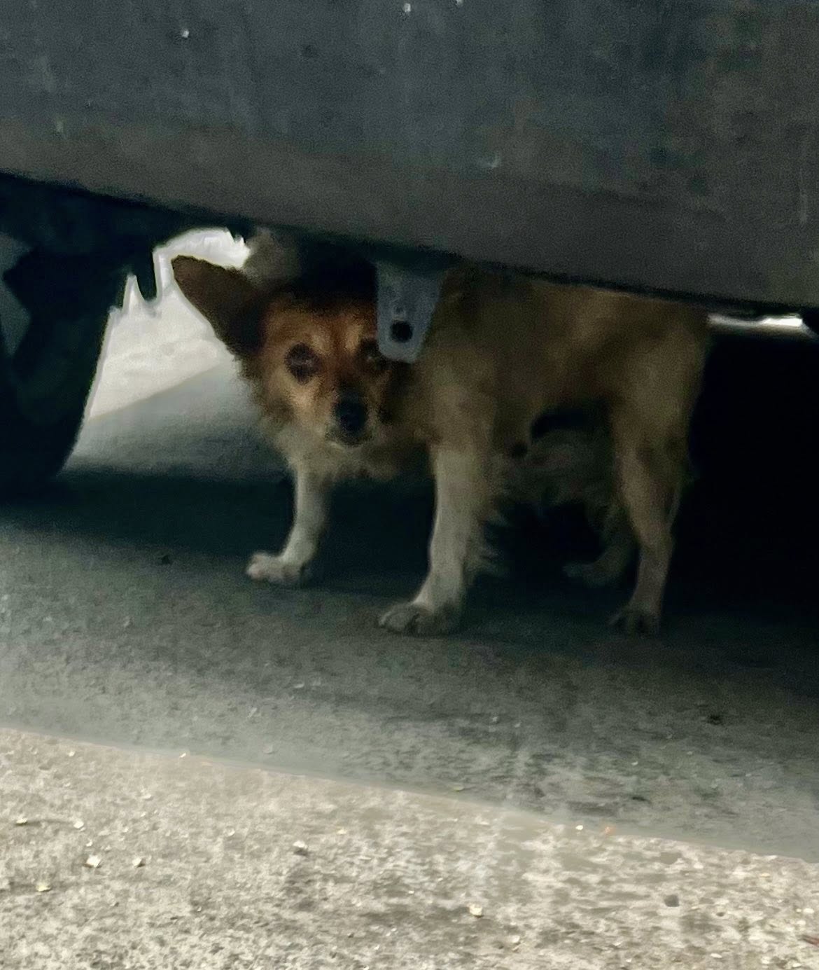 Extra image from article