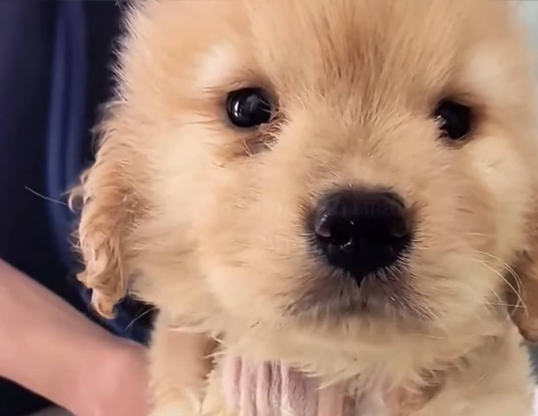 Just two months into his recovery, Jinba...