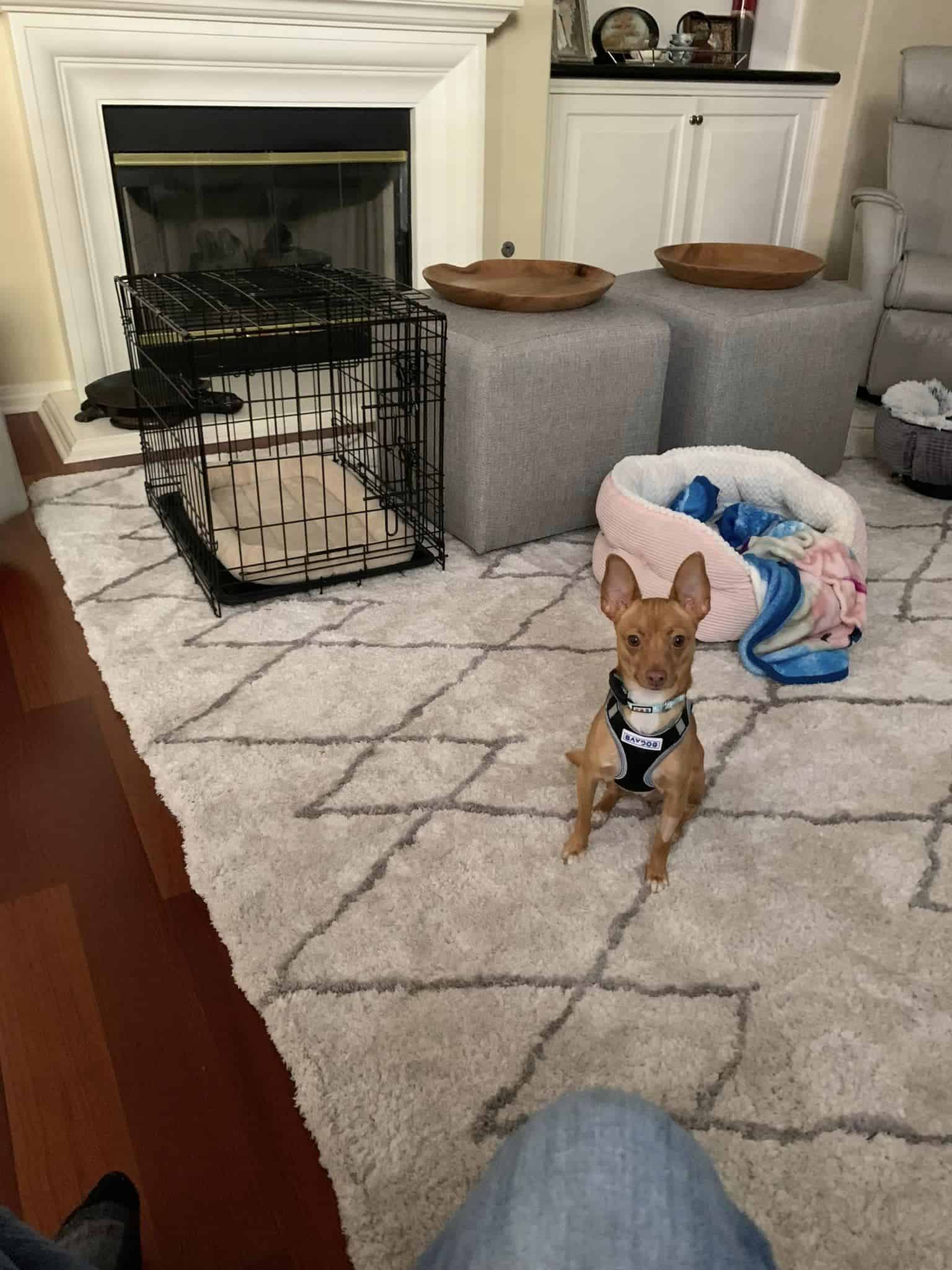 Extra image from article